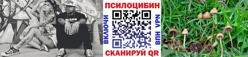 дарнет шоп  Краснокаменск  KRAKEN ССЫЛКА  Галлюциногенные грибы прущие грибы 
